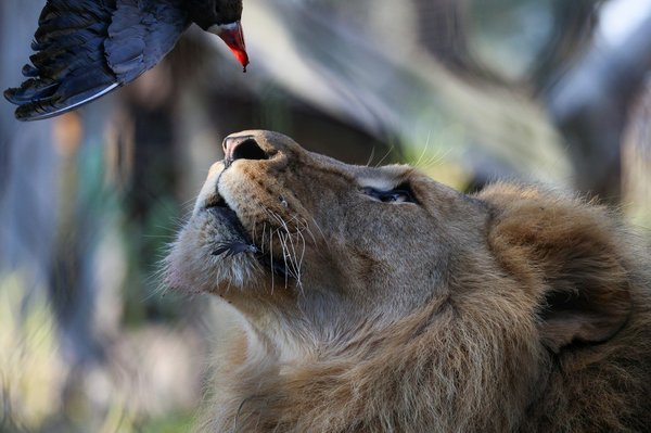 How Can You Create a Multi-Generational Living Space That Provides Privacy and Togetherness?